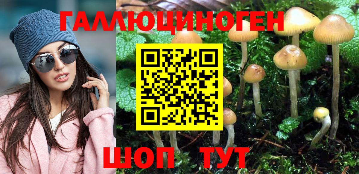 Псилоцибиновые грибы GOLDEN TEACHER  Вход с VPN  Псилоцибиновые грибы MAGIC MUSHROOMS  Шелехов 